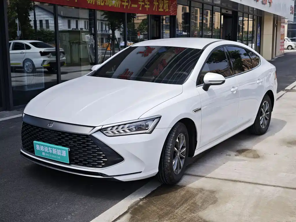 BYD Qin PLUS 2024 — фото 1