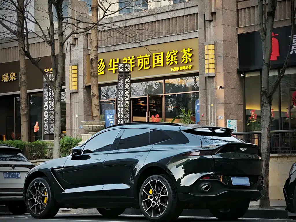 Aston Martin DBX 2021 — фото 3