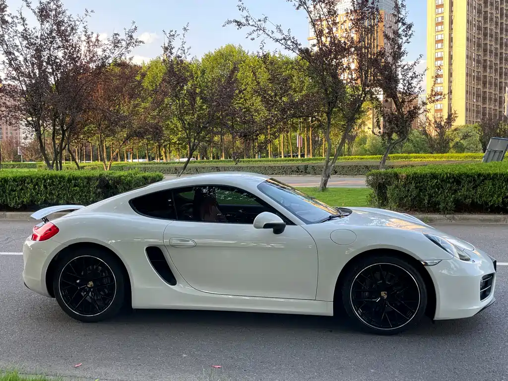 Porsche Cayman 2015 — фото 4