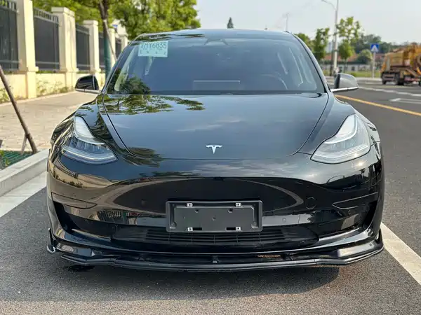 Tesla Model 3 2019