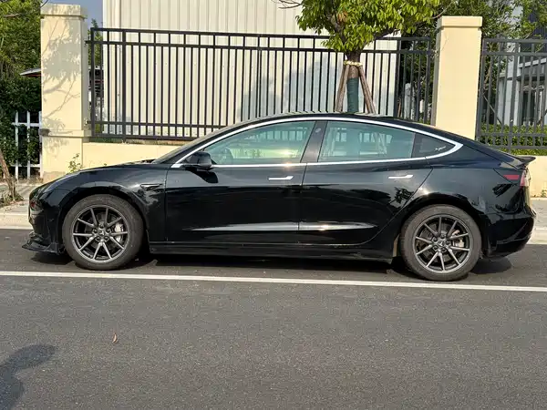 Tesla Model 3 2019