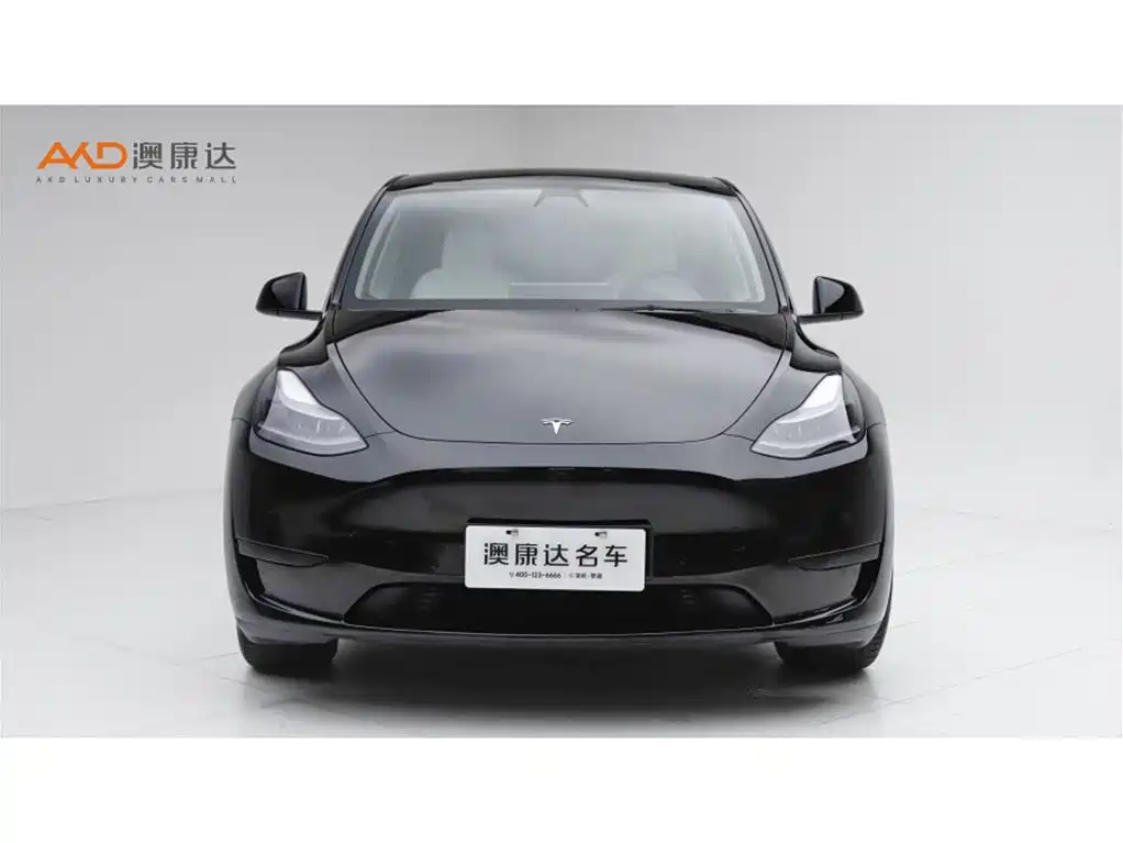 Tesla Model Y 2022 — фото 2