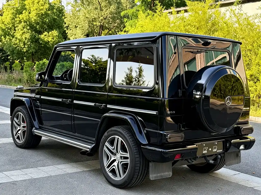 Mercedes-Benz G-Class AMG 2014 — фото 2