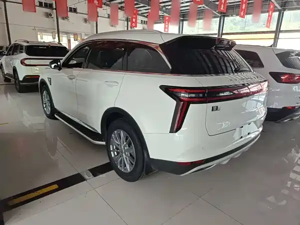 Venucia Star 2020