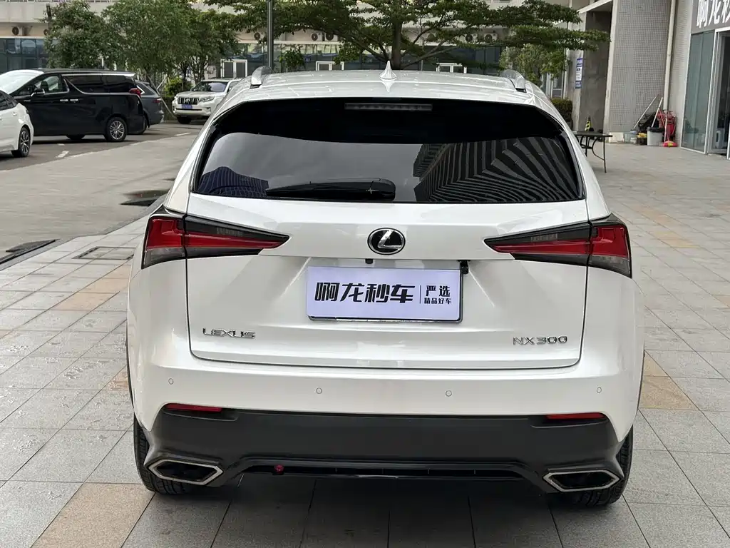 Lexus NX 2017 — фото 19