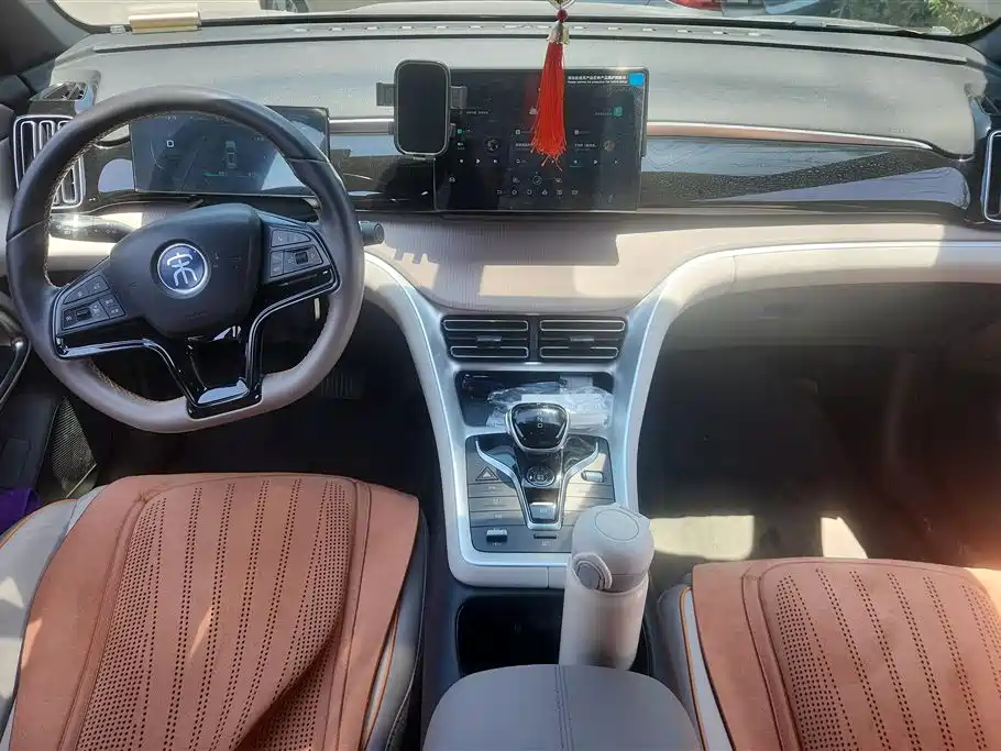BYD Pro New Energy 2024 — фото 12