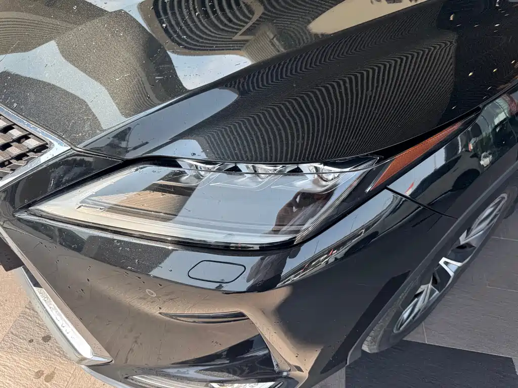 Lexus RX 2021 — фото 12