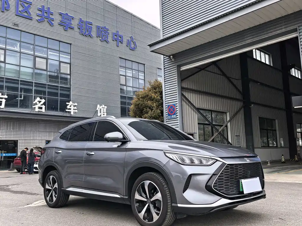 BYD PLUS New Energy 2024 — фото 2