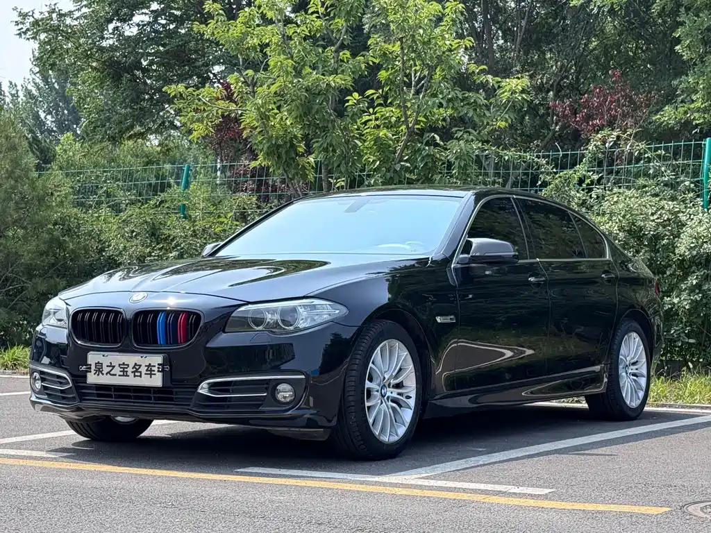 BMW 5 Series 2015