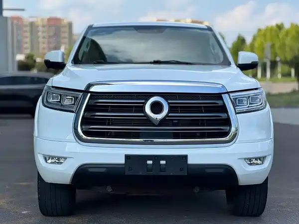 Great Wall Poer 2021