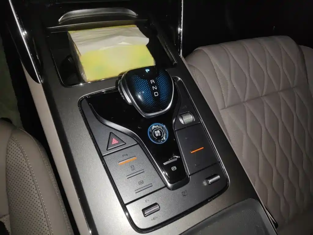 BYD Tang New Energy 2024