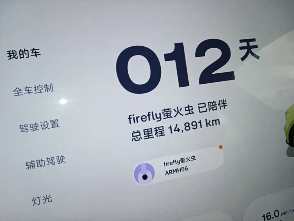 Firefly 2025 — фото 12