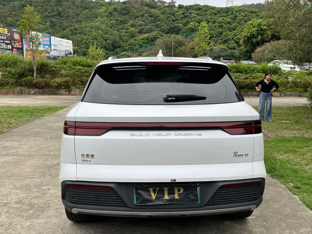 BYD Pro New Energy 2024 — фото 17