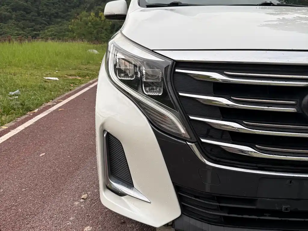 GAC Motor Trumpchi M8 2020 — фото 9
