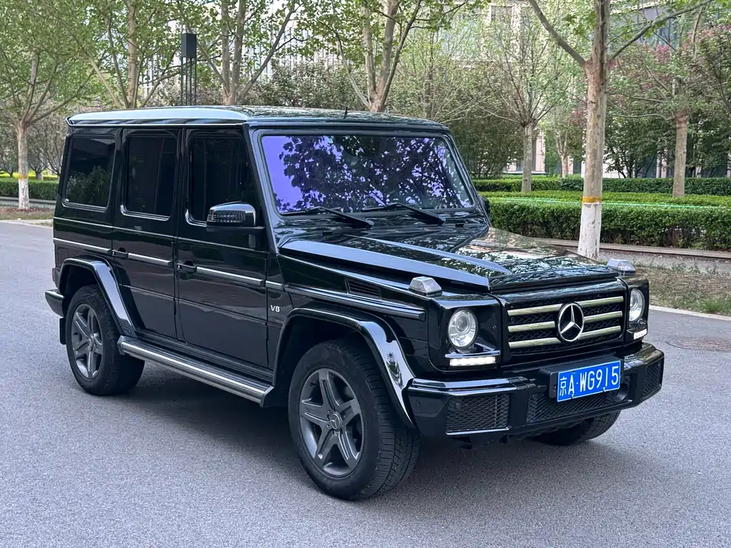 Mercedes-Benz G-Class 2016 — фото 3