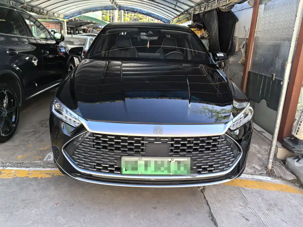 BYD Qin PLUS 2023 — фото 2