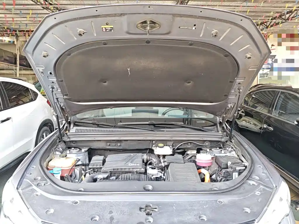 BYD Song Pro New Energy 2023 — фото 17