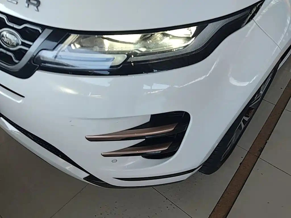 Land Rover Evoque 2020 — фото 24