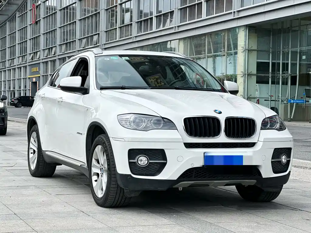 BMW X6 2009 — фото 3