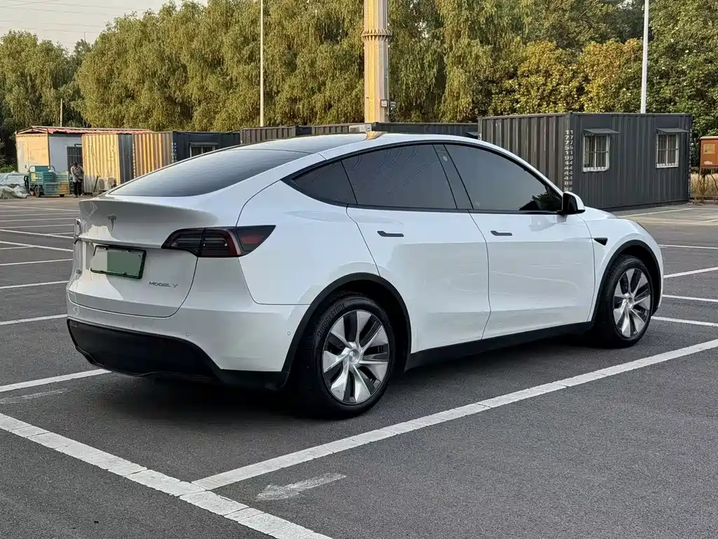 Tesla Model Y 2023 — фото 6