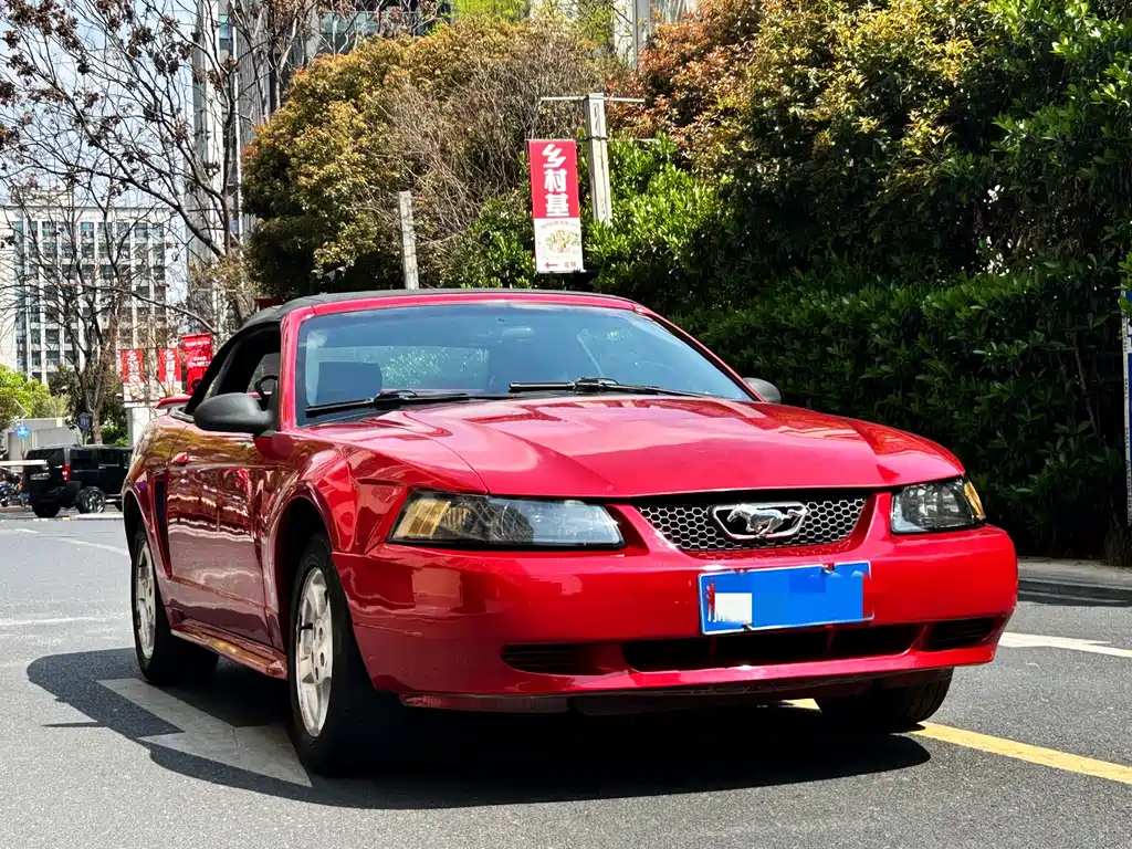 Ford Mustang 2004 — фото 3