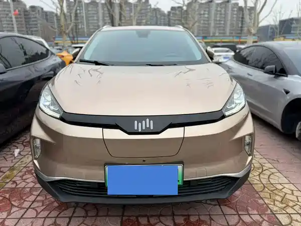 WM Motor EX5 2019