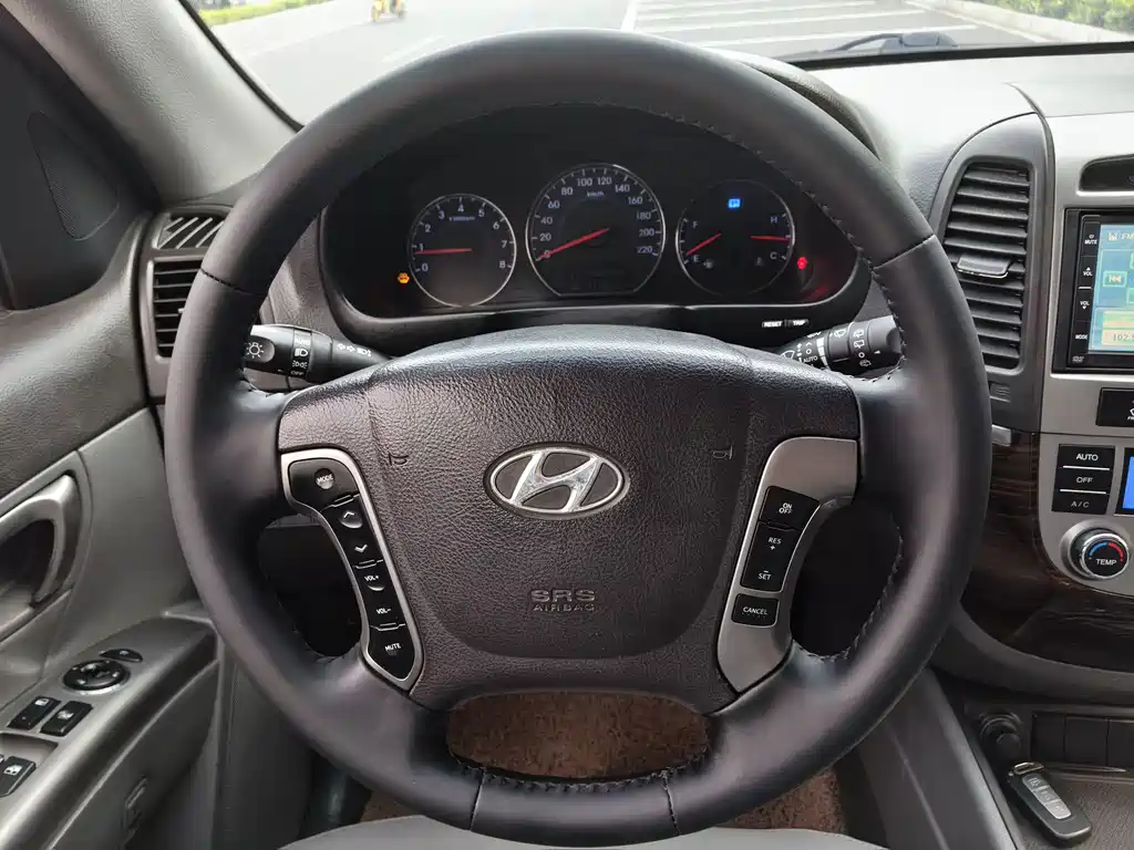 Hyundai Santa Fe Classic 2010 — фото 16