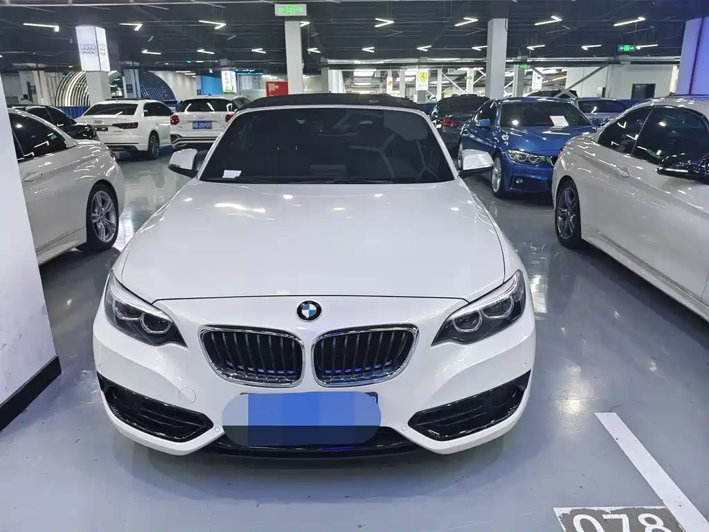 BMW 2 Series 2018