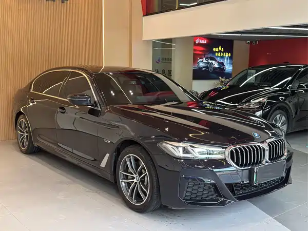 BMW 5 Series New Energy 2023