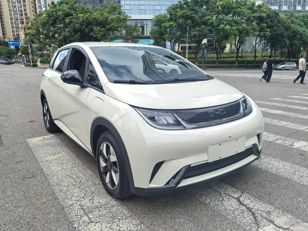 BYD Dolphin 2024