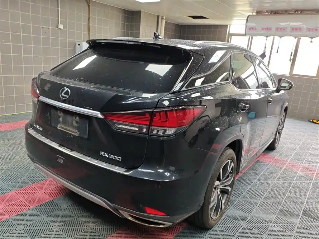 Lexus RX 2019 — фото 13