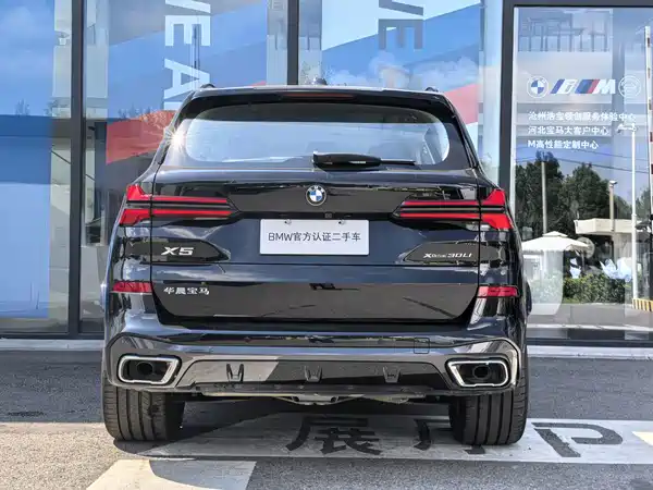 BMW X5 2025