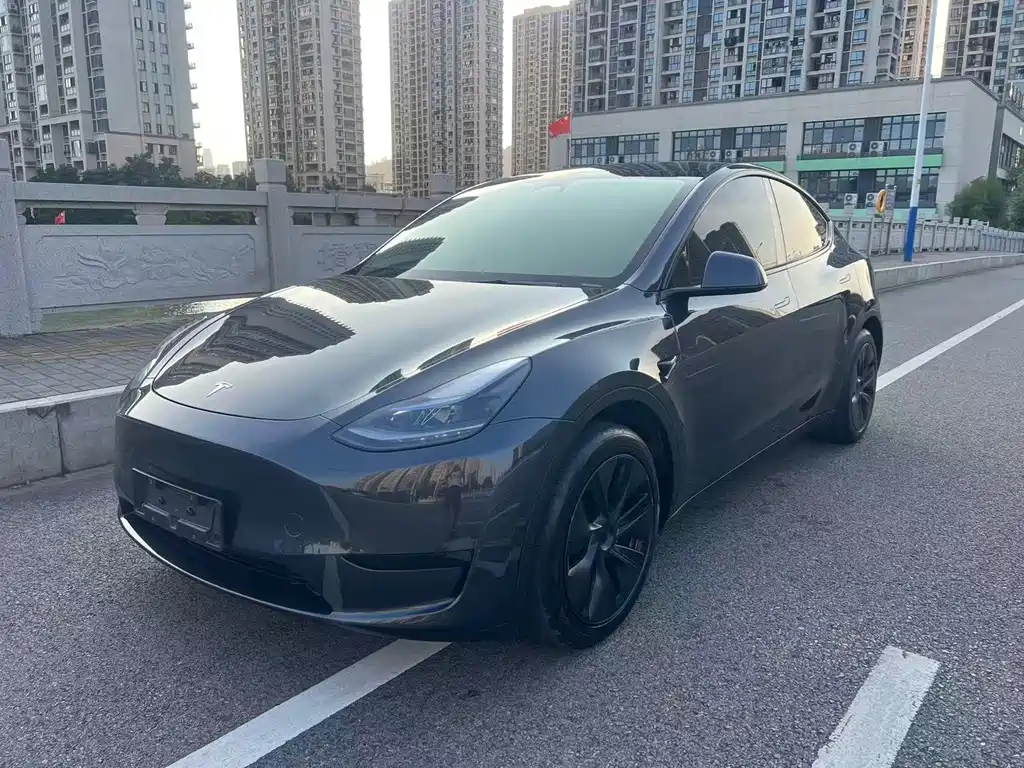 Tesla Model Y 2025 — фото 1