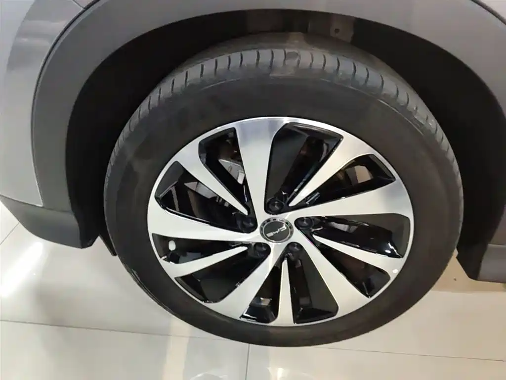 BYD PLUS New Energy 2024 — фото 23