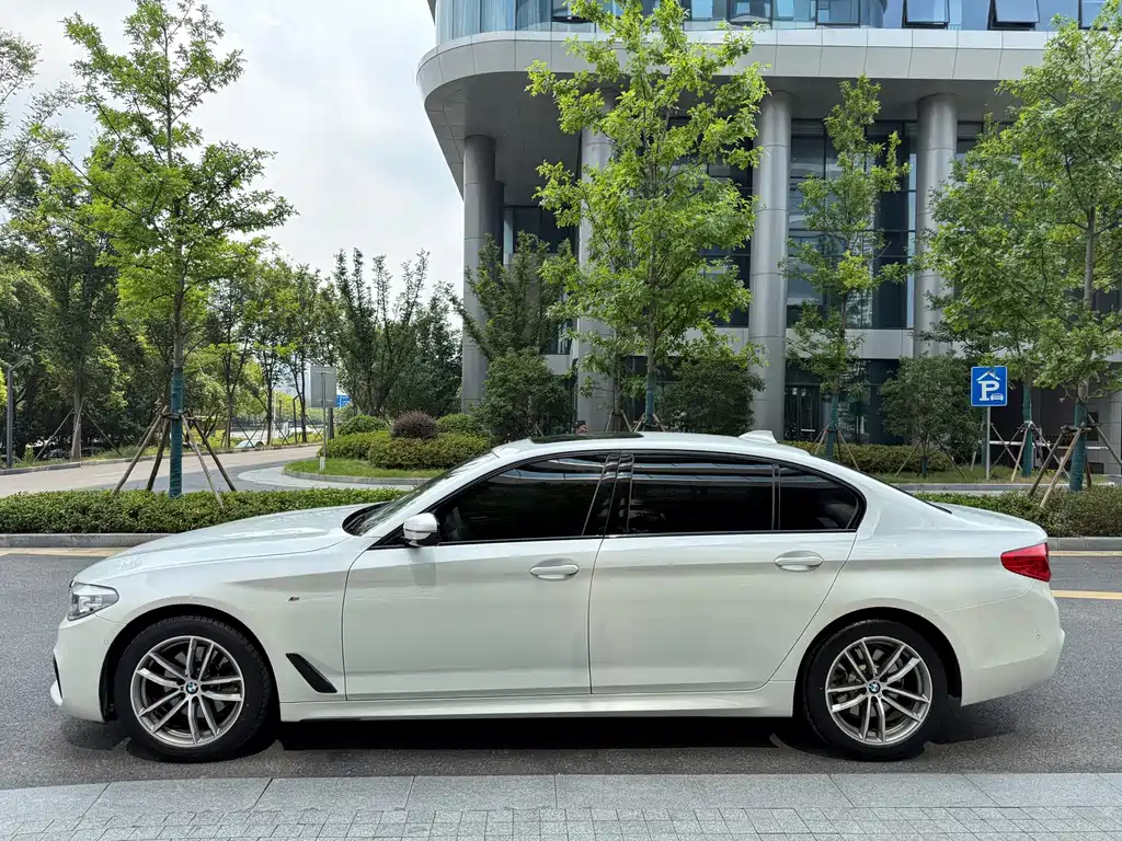 BMW 5 Series 2019