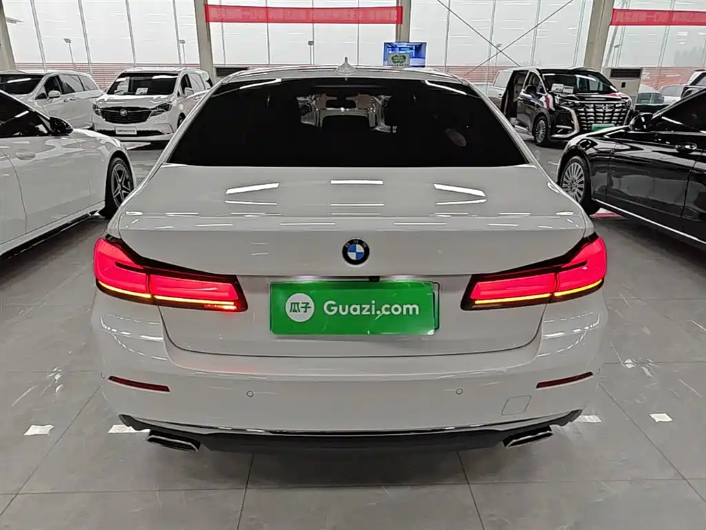 BMW 5 Series New Energy 2021 — фото 6
