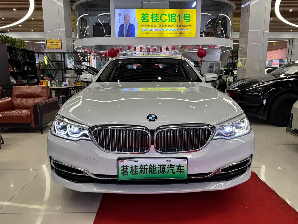 BMW 5 Series New Energy 2020
