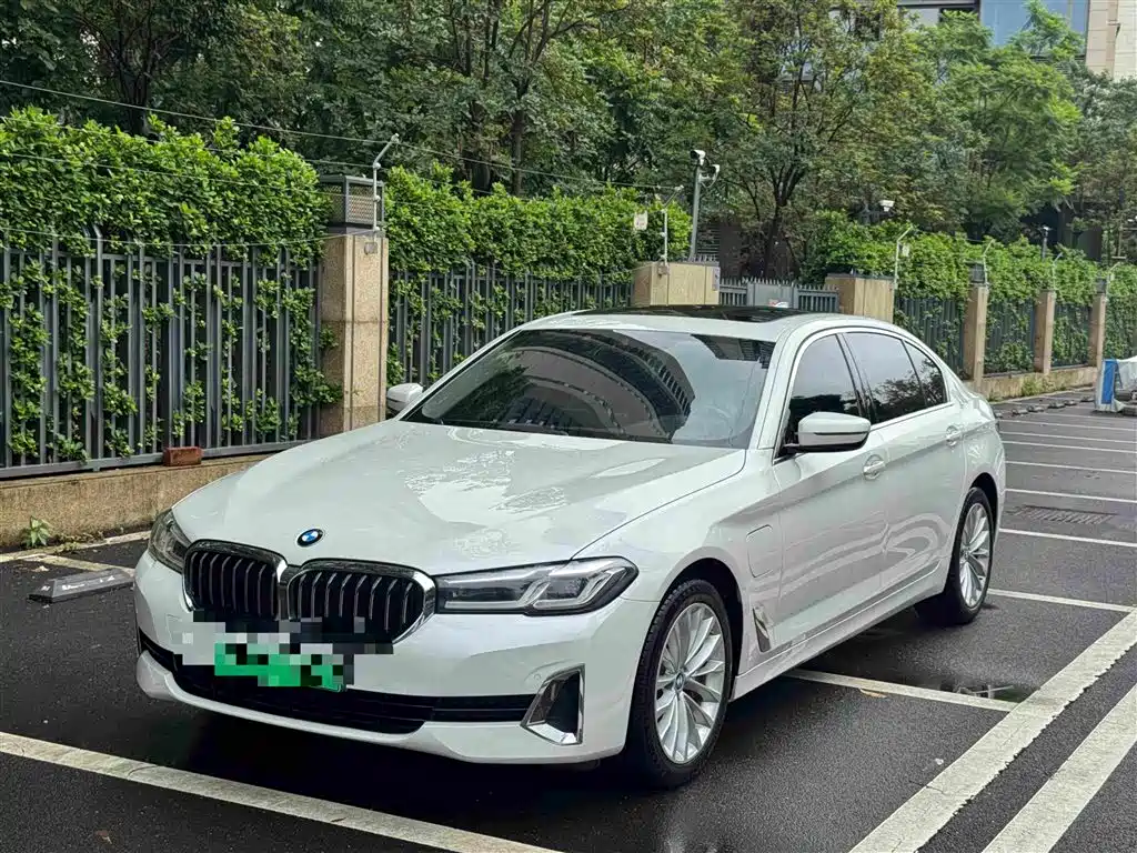 BMW 5 Series New Energy 2020