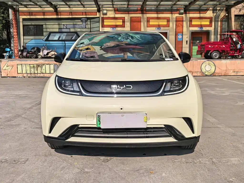 BYD Dolphin 2024