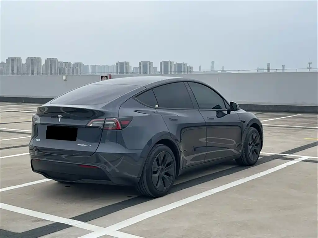 Tesla Model Y 2024 — фото 7
