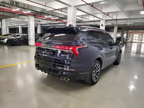 Lynk & Co 09 EM-P 2024