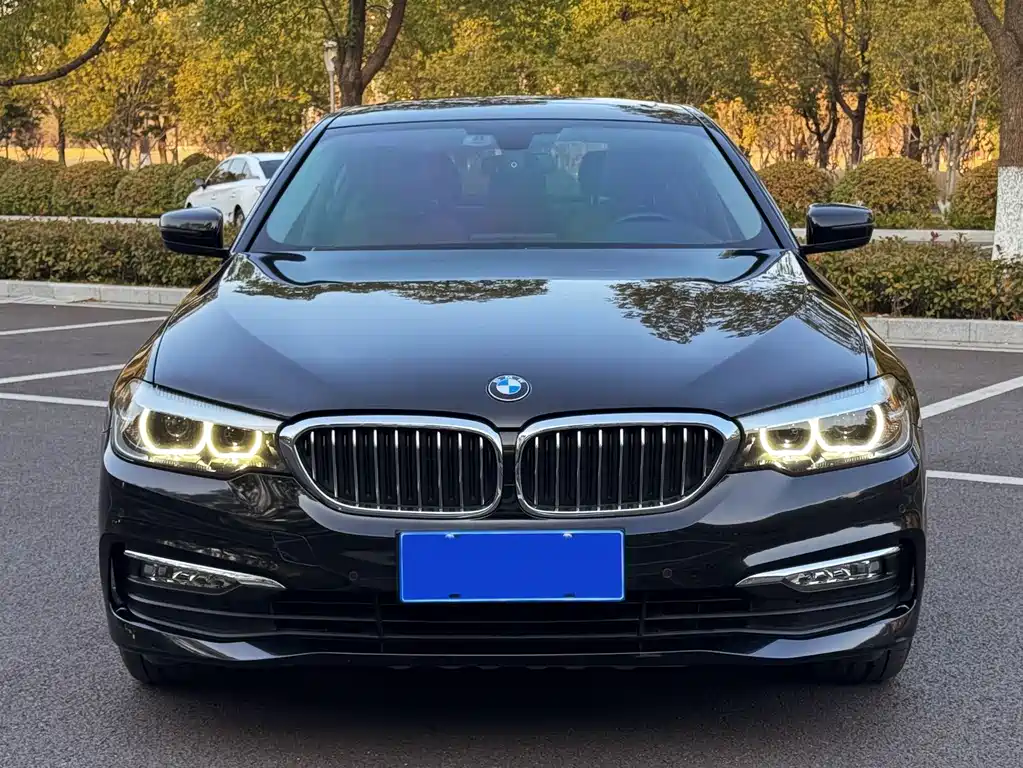 BMW 5 Series 2018 — фото 2