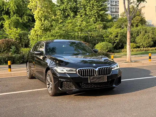 BMW 5 Series 2022