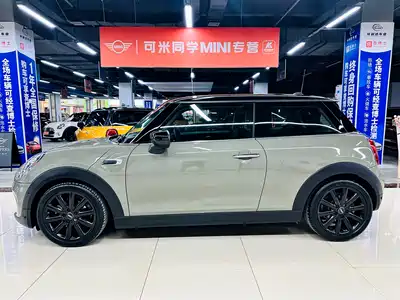 MINI MINI 2020
