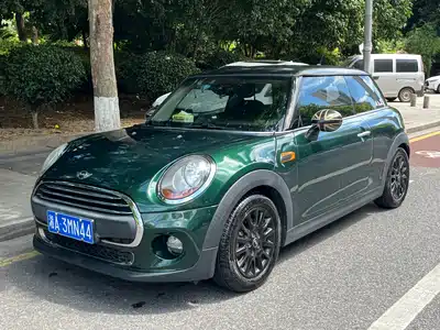MINI MINI 2015