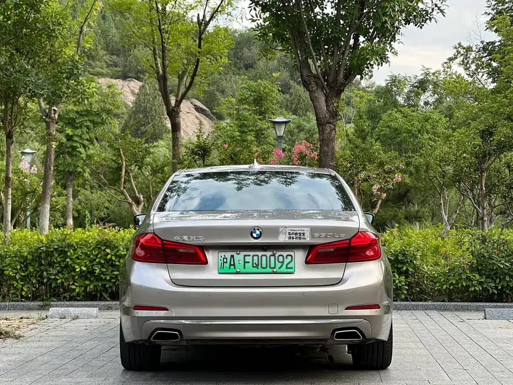 BMW 5 Series New Energy 2020 — фото 8