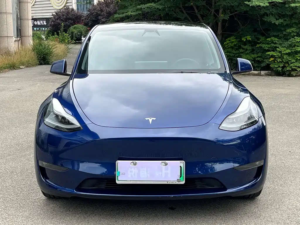 Tesla Model Y 2021 — фото 2
