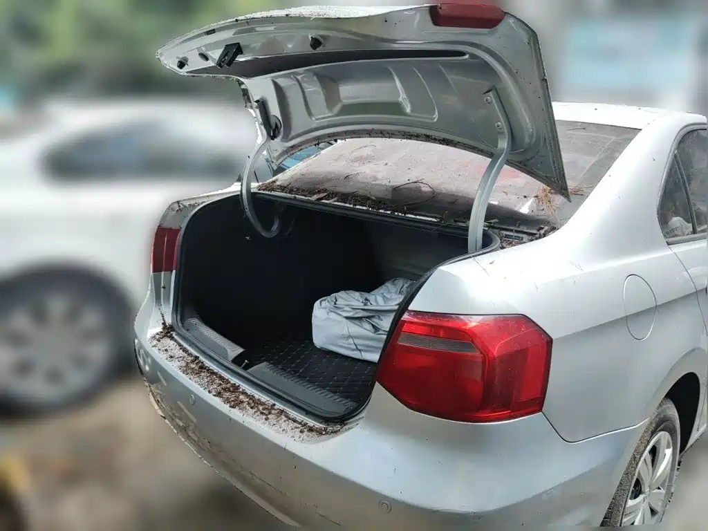 Volkswagen Jetta 2015 — фото 10