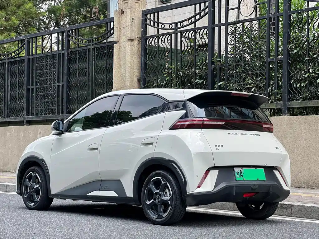 BYD Seagull 2024