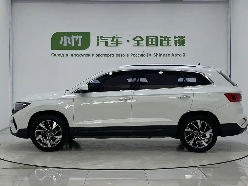 Jetta VS7 2022